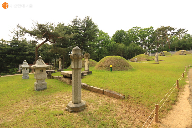묘역에는 연산군 부부를 비롯해 여러 기의 무덤들이 조성되어 있다.