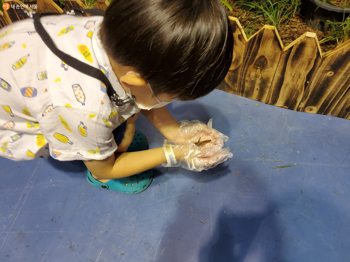 곤충주제관에서 한 아이가 메뚜기를 손에 놓고 관찰하고 있다