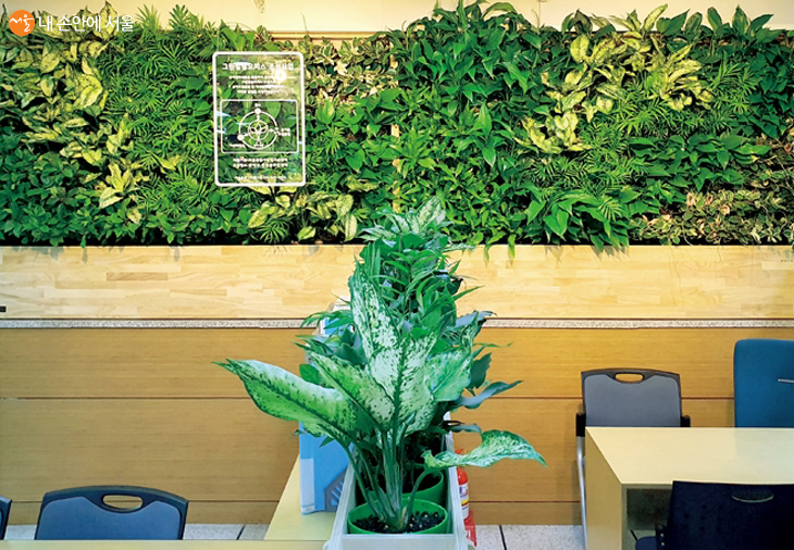 관악구 은천동주민센터 바이오월과 공기정화식물 화분 