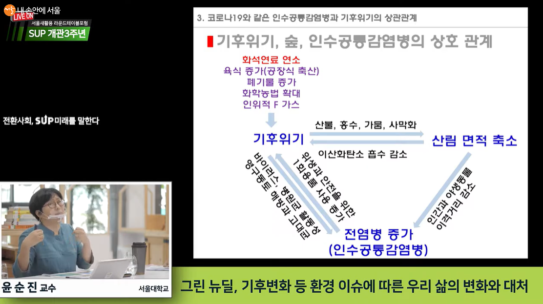 서울대학교 윤순진 교수님께서 기후 위기, 숲, 인수공통감염병의 상관관계에 대해 설명하고 있다 ⓒ서울새활용플라자 유튜브