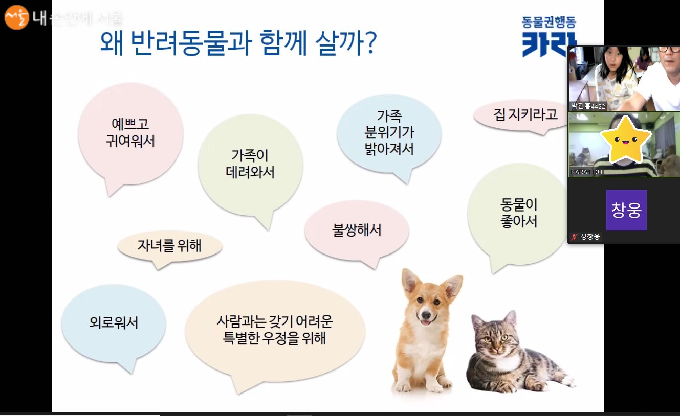서울동복복지지원센터의 동물 입양전 교육 영상 