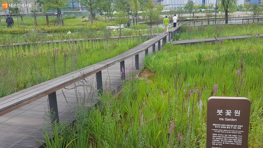 서울식물원의 붓꽃원 산책로를 걷는 시민들 