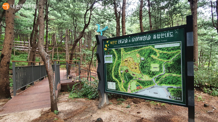 북한산 ‘태교숲&유아체험숲’에서 치유와 힐링을 한다. 
