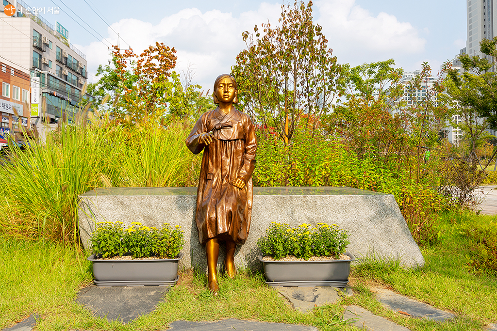 노란 소국 화분 사이 다소곳이 앉아있는 소녀상