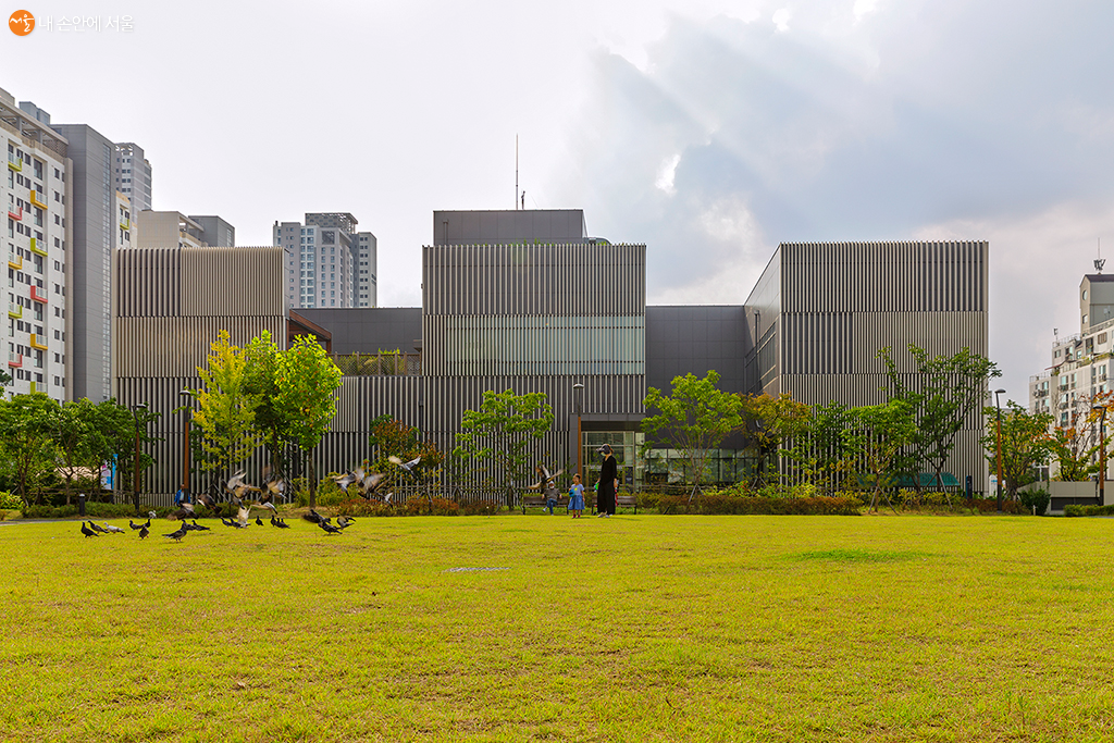 박물관 옆 잔디밭에 서서 엄마와 비둘기가 날아가는 모습을 보고 있는 아이