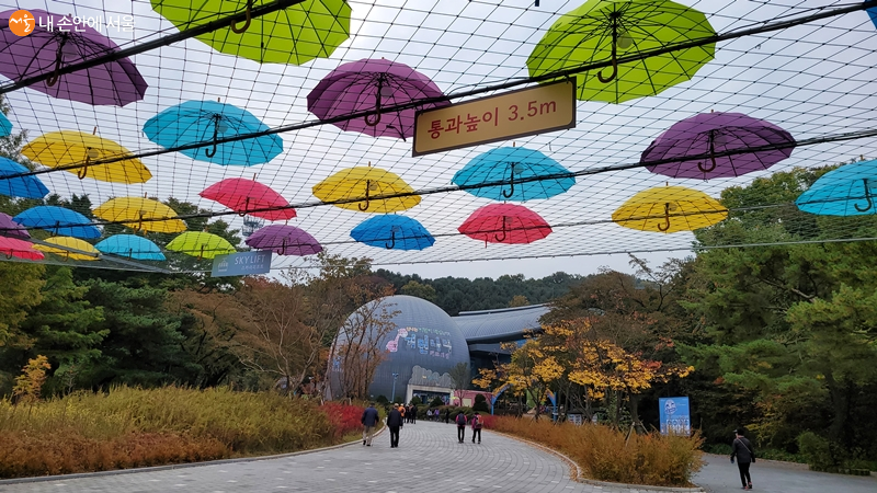 서울대공원은 체험놀이터 기린나라, 스카이 리프트 등 다양한 즐길거리를 갖춘 종합테마파크다
