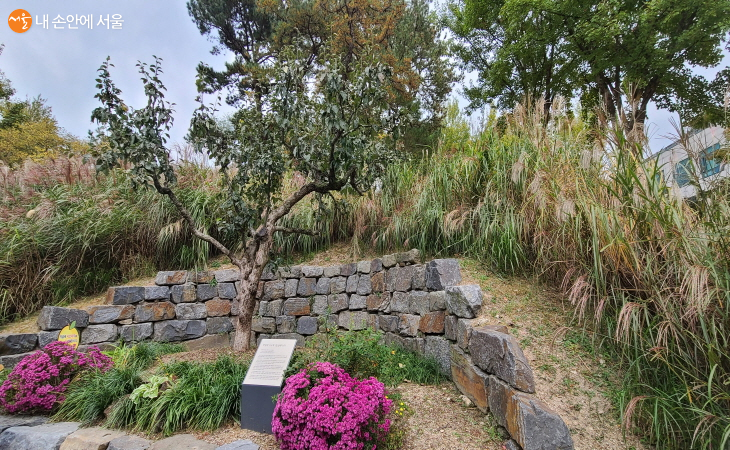 봉수대공원에는 먹골배 시조목이 있다.
