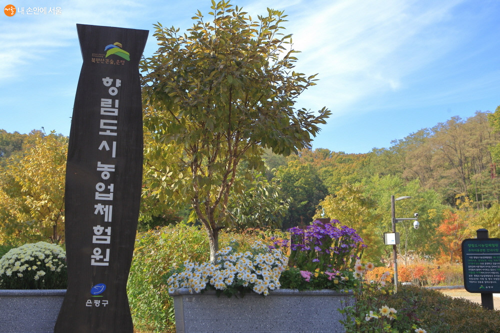 은평구 불광동에 서울시 최초의 도시농업체험원이 있다. 