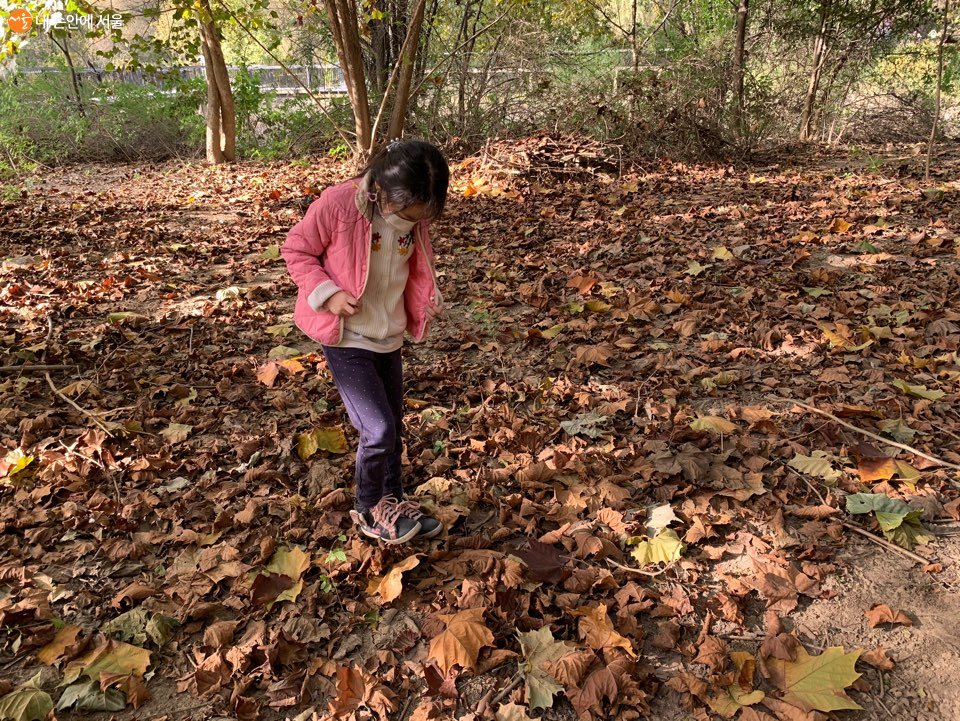 바스락바스락 낙엽밟기 
