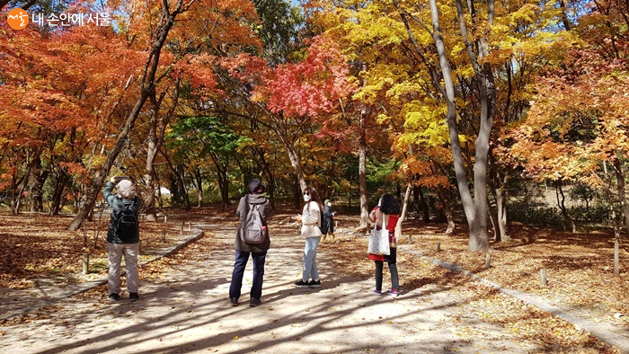 멀리 가지말고 서울 4대 궁에서 가을 단풍을 즐겨보자. 