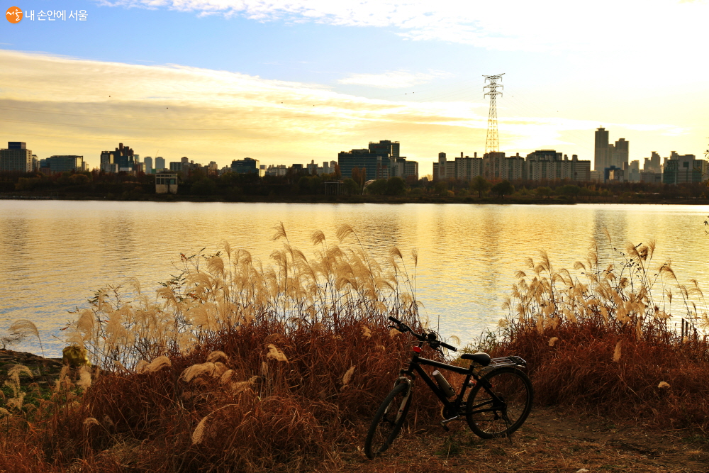 서울함공원 주변은 아직 늦은 가을이다