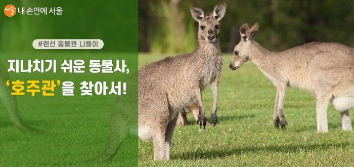 서울대공원 홈페이지에서 즐기는 랜선 동물원 투어 ⓒ서울대공원 