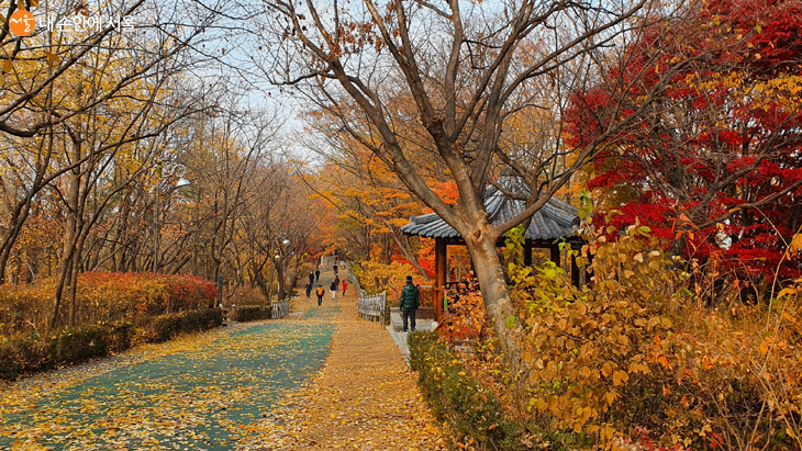 ‘가을단풍길’은 가을날의 풍경이 더욱 멋진 곳이다. 
